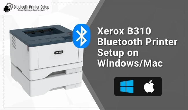 Xerox B310 Bluetooth Printer Setup on Windows and Mac (Steps Guide)