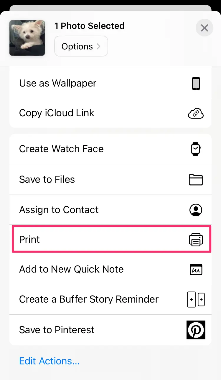 Bluetooth Setup Printer on iPhone